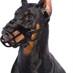 Chien qui porte une muselière pour train et autre voyage