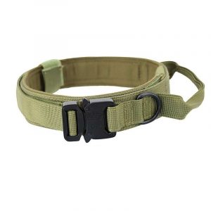 Collier chien avec poignée