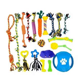 Jouet pour chien : lot de 19 jouets pour chien